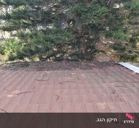 תיקון הגג.